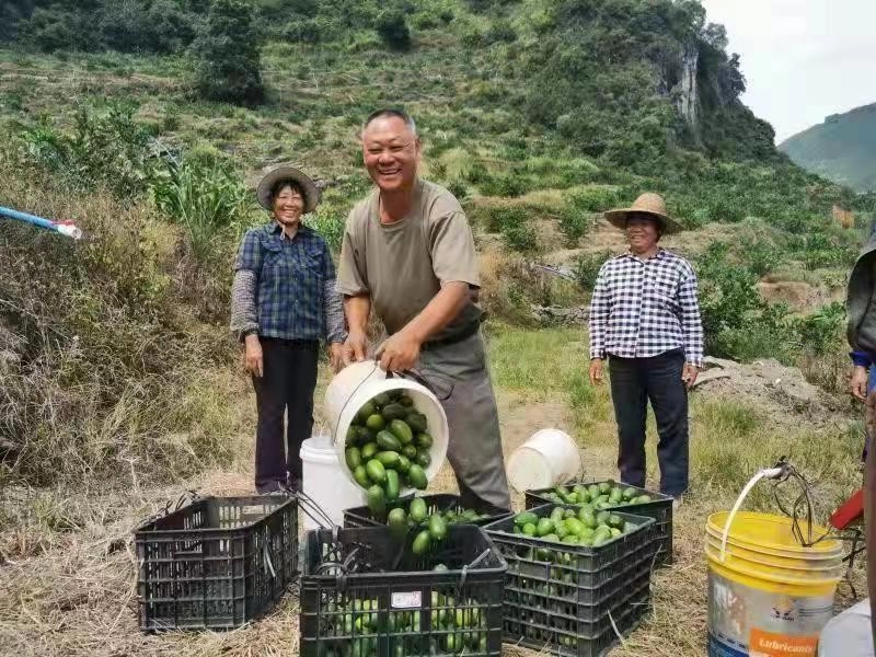 大新县福隆乡：做好“三篇文章”助力乡村振兴(图1)