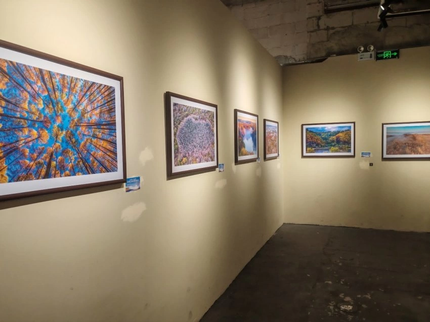 展示丰林四季旅游资源,“大美伊春·魅力丰林”四季风光摄影作品展上海站开幕(图4) 展示丰林四季旅游资源,“大美伊春·魅力丰林”四季风光摄影作品展上海站开幕(图4)