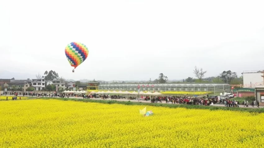 新华视点｜春日盛景赋能“花经济” 文旅融合焕发新活力(图8)