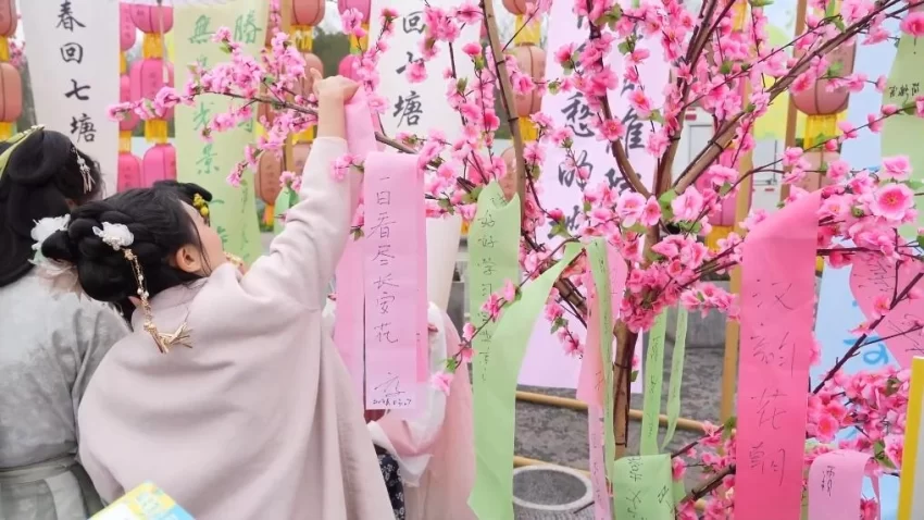 新华视点｜春日盛景赋能“花经济” 文旅融合焕发新活力(图10)