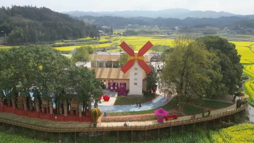 新华视点｜春日盛景赋能“花经济” 文旅融合焕发新活力(图12)