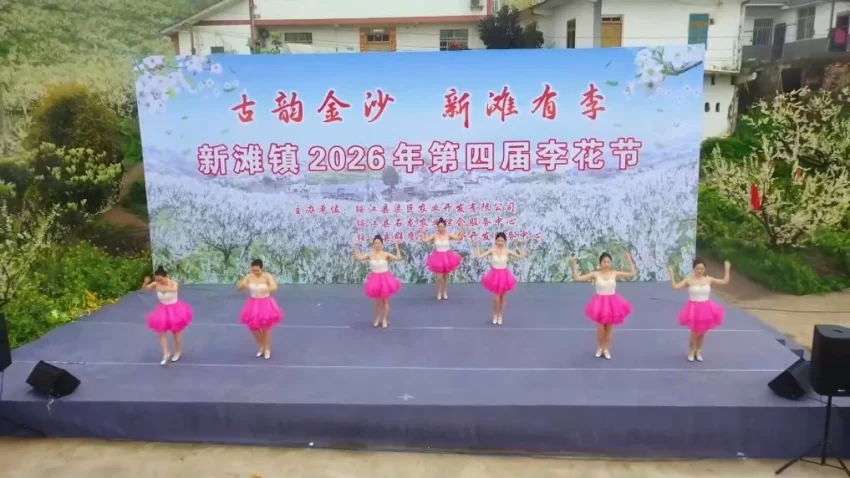 新华视点｜春日盛景赋能“花经济” 文旅融合焕发新活力(图15)