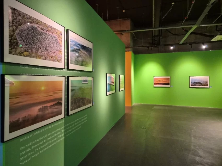 苏韵遇林海 美景赴江南 ——“大美伊春·魅力丰林”四季风光摄影展2026苏州首站启幕(图5) 苏韵遇林海 美景赴江南 ——“大美伊春·魅力丰林”四季风光摄影展2026苏州首站启幕(图5)