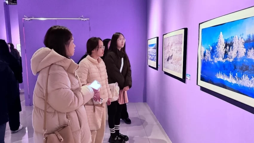 苏韵遇林海 美景赴江南 ——“大美伊春·魅力丰林”四季风光摄影展2026苏州首站启幕(图2) 苏韵遇林海 美景赴江南 ——“大美伊春·魅力丰林”四季风光摄影展2026苏州首站启幕(图2)