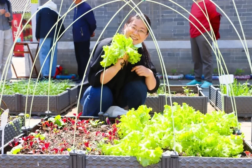 古建里“长”出新邻里：这是不同寻常的回龙观“城市会客厅”(图2)