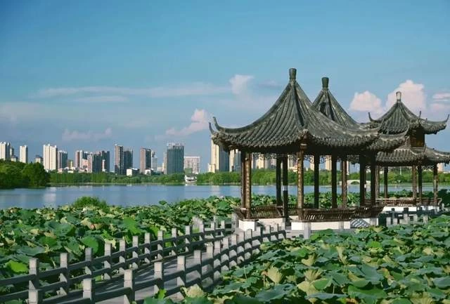 生活随笔|包惠僧的悔悟人生(图2) 生活随笔|包惠僧的悔悟人生(图2)