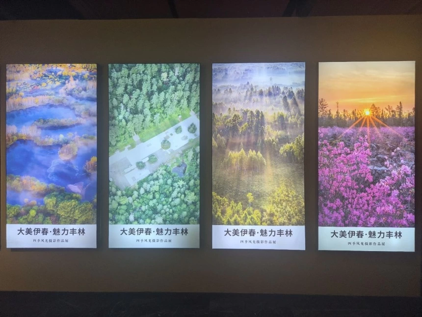 “大美伊春·魅力丰林”四季风光摄影展合肥站启幕(图2) “大美伊春·魅力丰林”四季风光摄影展合肥站启幕(图2)