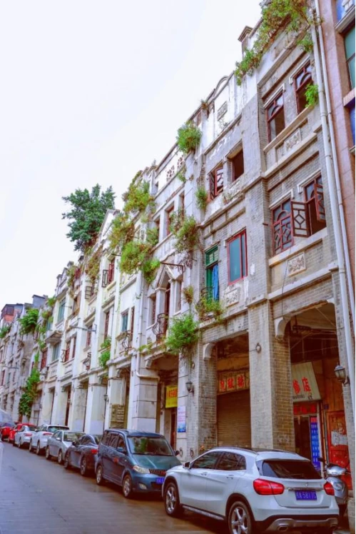 重点关注 | 风雨已过,广西安好——中国旅游协会致旅游业同仁的倡议书(图5) 重点关注 | 风雨已过,广西安好——中国旅游协会致旅游业同仁的倡议书(图5)