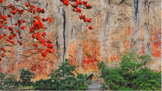 重点关注 | 风雨已过,广西安好——中国旅游协会致旅游业同仁的倡议书(图8) 重点关注 | 风雨已过,广西安好——中国旅游协会致旅游业同仁的倡议书(图8)