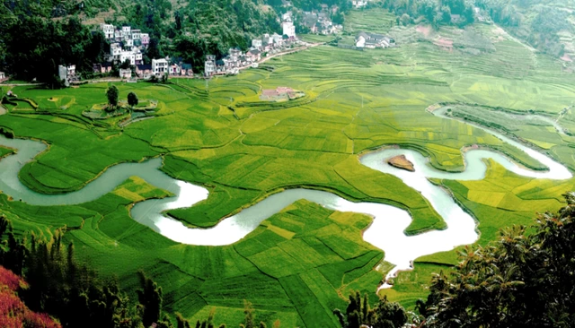 重点关注 | 风雨已过,广西安好——中国旅游协会致旅游业同仁的倡议书(图17) 重点关注 | 风雨已过,广西安好——中国旅游协会致旅游业同仁的倡议书(图17)