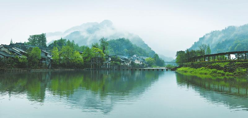 植绿、管绿、增绿，四川交出林业扶贫答卷(图1)