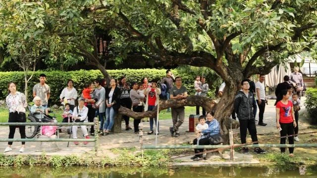 三月三·快闪民歌演绎当代壮乡情怀(图11)