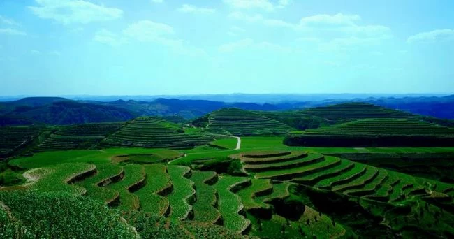 榆林米脂高西沟村:生态文明创造塞上“好江南”(图3) 榆林米脂高西沟村:生态文明创造塞上“好江南”(图3)