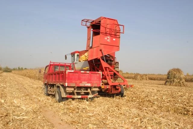 陕西榆阳:新型农业经营主体助力全区农业产业发展(图2) 陕西榆阳:新型农业经营主体助力全区农业产业发展(图2)