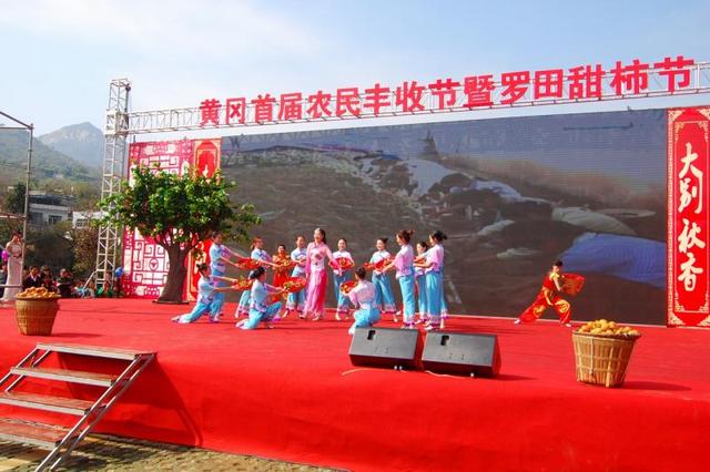 秀美罗田满眼春——湖北省罗田县着力创建国家公共文化服务体系示范区(图4)