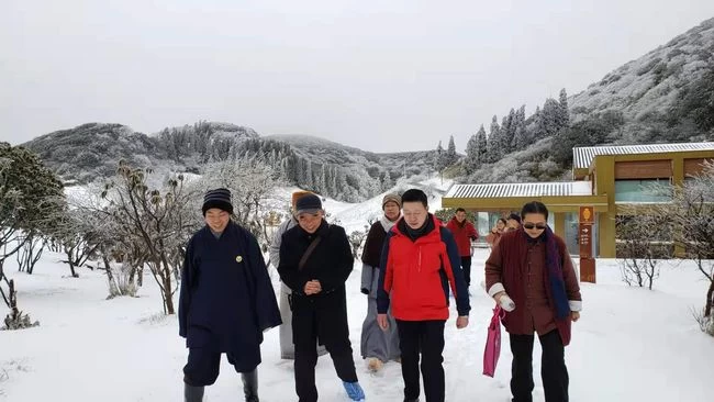 重庆金佛寺和书法家单成武共同举办文化传承活动祈福盛世新景(图1)