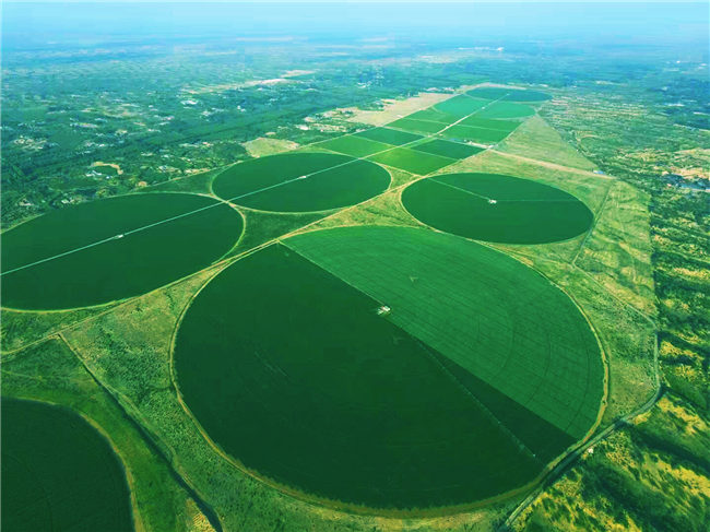 “小土豆”托起大产业——榆阳区入选首批国家农村产业融合发展示范园的背后(图1)