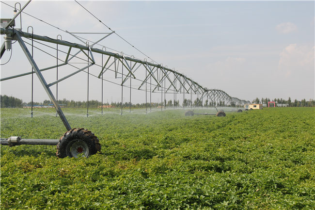 “小土豆”托起大产业——榆阳区入选首批国家农村产业融合发展示范园的背后(图2)