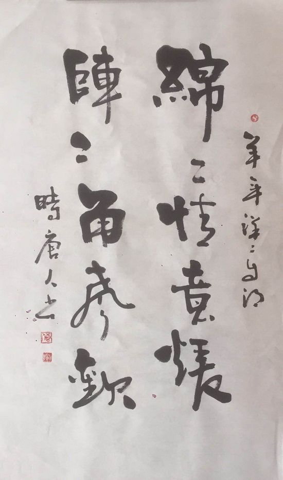 十二生肖生态书法和十二生肖对联获大众好评——著名生态书法家李国辉首创十二生肖书法和对联(图21)
