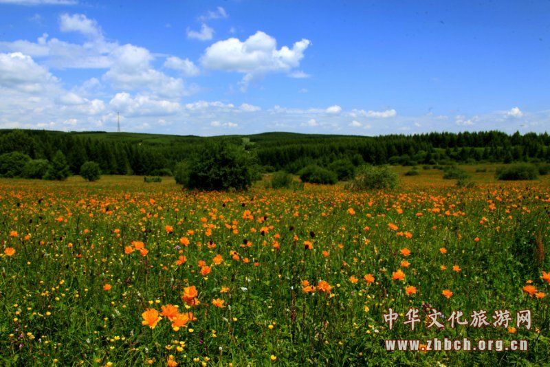旅游季节 木兰围场强化使命担当 突出生态保护(图1) 旅游季节 木兰围场强化使命担当 突出生态保护(图1)