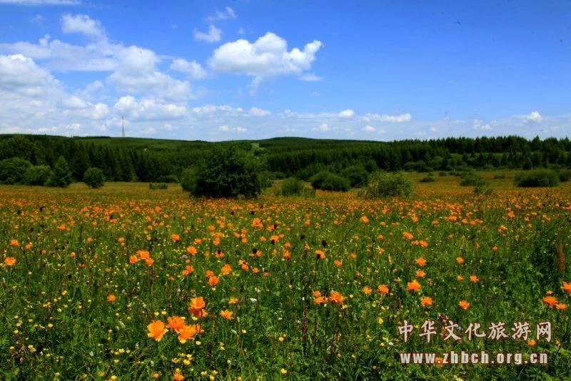 旅游季节 木兰围场强化使命担当 突出生态保护(图1)