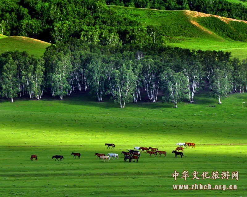 旅游季节 木兰围场强化使命担当 突出生态保护(图2) 旅游季节 木兰围场强化使命担当 突出生态保护(图2)