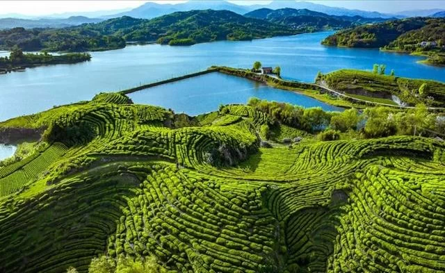 一个“补”字的“英山答卷”——湖北英山县创建国家公共文化服务体系示范区探秘(图1)