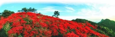 中部示范的生动答卷——来自老区黄冈的时代报告(图1)