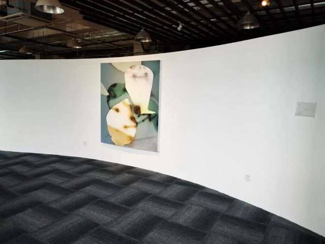 “2019上海城市空间艺术季”系列联合展亮相上海虹庙艺术中心(图13) “2019上海城市空间艺术季”系列联合展亮相上海虹庙艺术中心(图13)