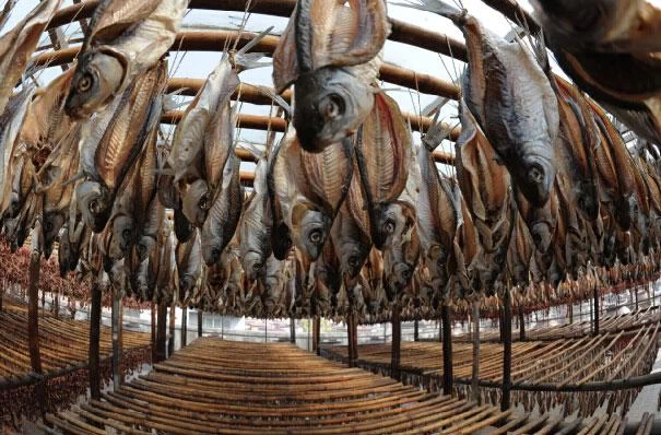 鑫源食品，舌尖上的东莞味道(图5)