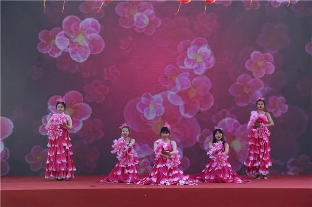 北京顺义区举办“福满京城，春贺神州——欢迎回家过年”活动(图4)