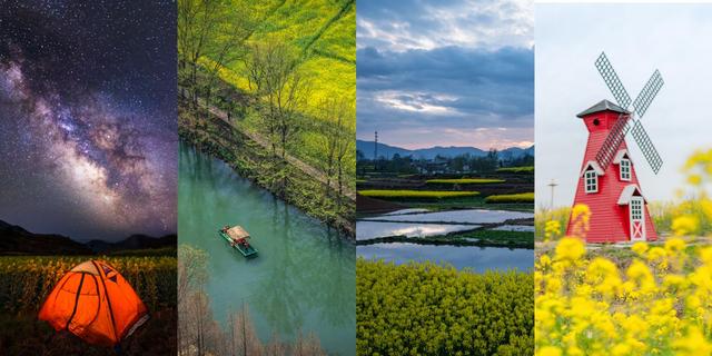 汉中市文化和旅游局＂花与视界＂线上美学艺术馆开展(图5)