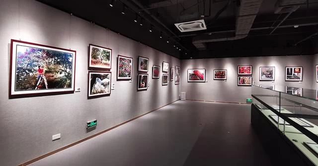 “红土荔香书岭南”东莞大岭山荔香文化展6月10日开幕(图13)