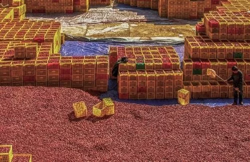 火塔点亮圆心梦 咱们赶上好时候——陕西省榆林市多举措确保高质量打赢脱贫攻坚战(图5) 火塔点亮圆心梦 咱们赶上好时候——陕西省榆林市多举措确保高质量打赢脱贫攻坚战(图5)