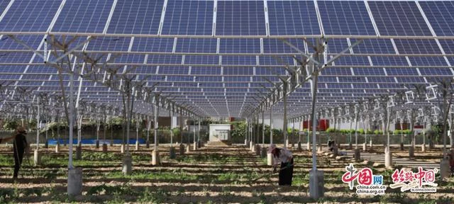 陕西米脂:做强产业支撑 推进脱贫攻坚与乡村振兴有机衔接(图1) 陕西米脂:做强产业支撑 推进脱贫攻坚与乡村振兴有机衔接(图1)