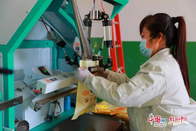 陕西米脂:做强产业支撑 推进脱贫攻坚与乡村振兴有机衔接(图4) 陕西米脂:做强产业支撑 推进脱贫攻坚与乡村振兴有机衔接(图4)