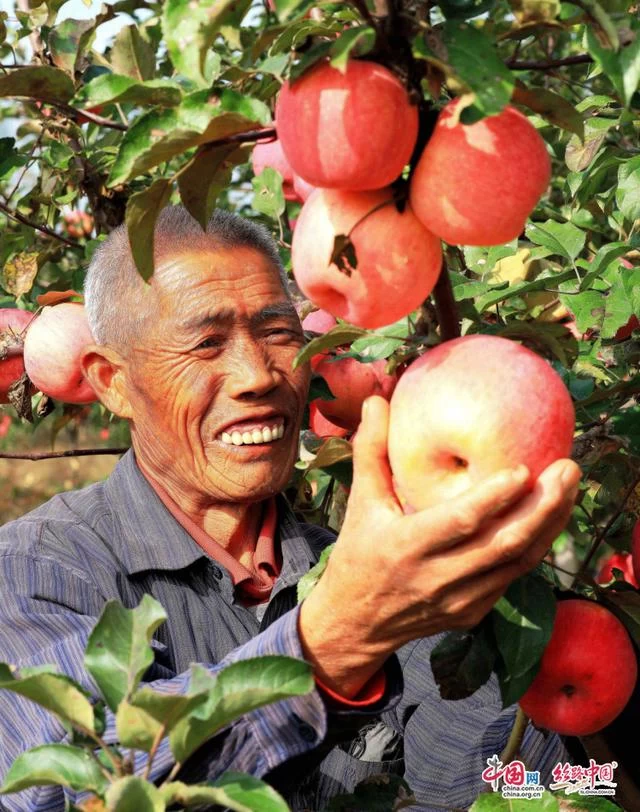 陕西米脂:做强产业支撑 推进脱贫攻坚与乡村振兴有机衔接(图3) 陕西米脂:做强产业支撑 推进脱贫攻坚与乡村振兴有机衔接(图3)