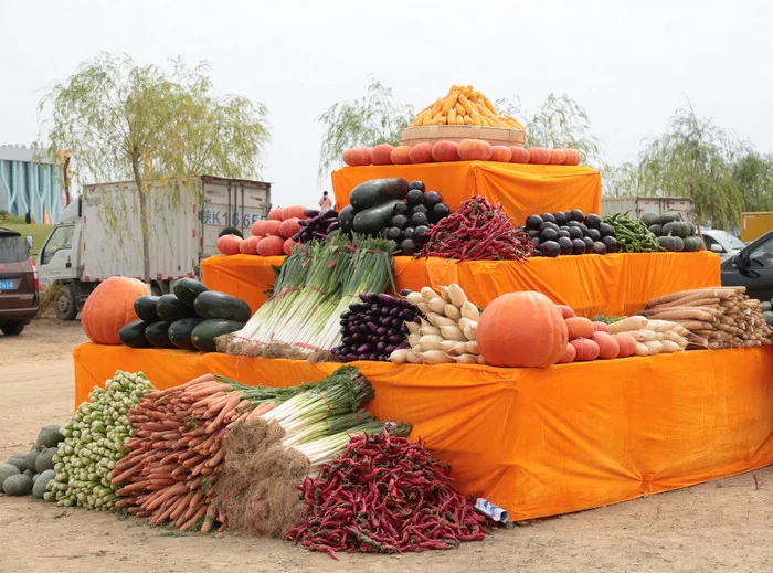 展现丰收画卷 共享丰收果实——陕西榆阳2020年"中国农民丰收节"举办(图3) 展现丰收画卷 共享丰收果实——陕西榆阳2020年"中国农民丰收节"举办(图3)