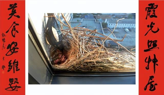 王振书法展“绿水青山”巨幅大字受好评(图11) 王振书法展“绿水青山”巨幅大字受好评(图11)