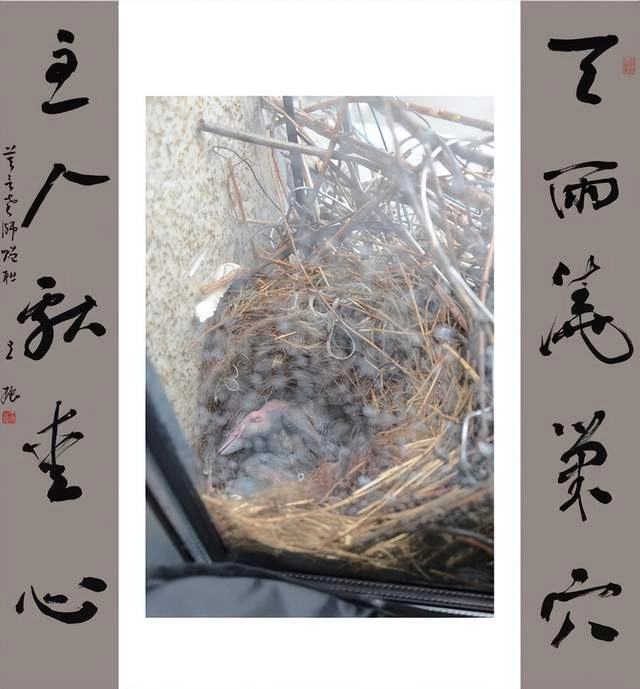 王振书法展“绿水青山”巨幅大字受好评(图13) 王振书法展“绿水青山”巨幅大字受好评(图13)