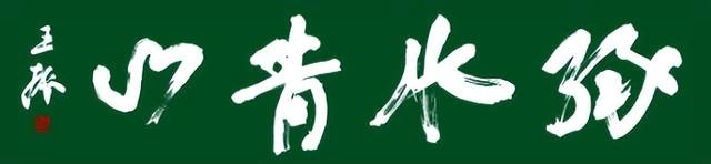 王振书法展“绿水青山”巨幅大字受好评(图18) 王振书法展“绿水青山”巨幅大字受好评(图18)