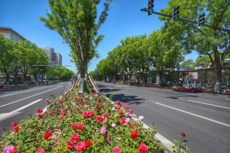 战“疫”东城丨许你一路繁花(图8)