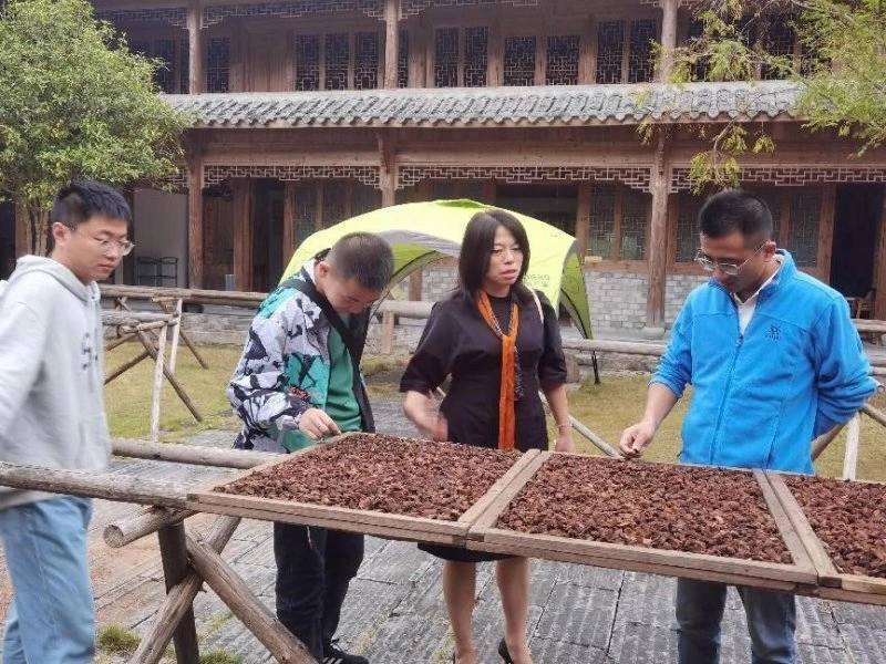 丽水学院“青春关怀”名师工作室组织师生拜访食药用菌界“元老”“新秀”(图5) 丽水学院“青春关怀”名师工作室组织师生拜访食药用菌界“元老”“新秀”(图5)