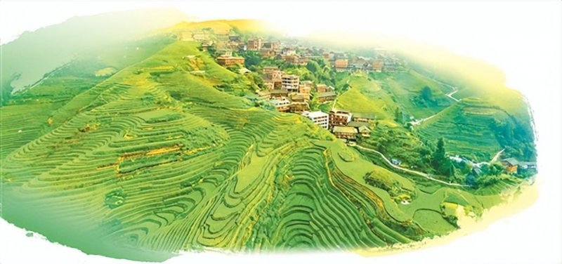 从荒野走向世界：龙脊梯田的华丽转身(图4)