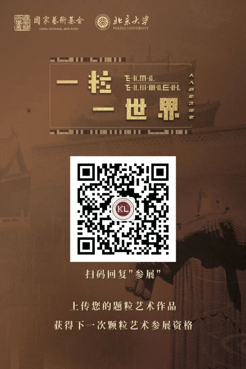 “一粒一世界——北京大学颗粒艺术展”全国巡展首站在山西长治举办(图17)