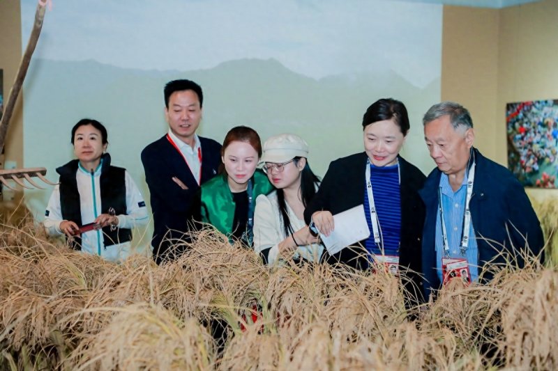 “全球农遗·中国稻作文化影像展”在中华世纪坛开幕(图2)