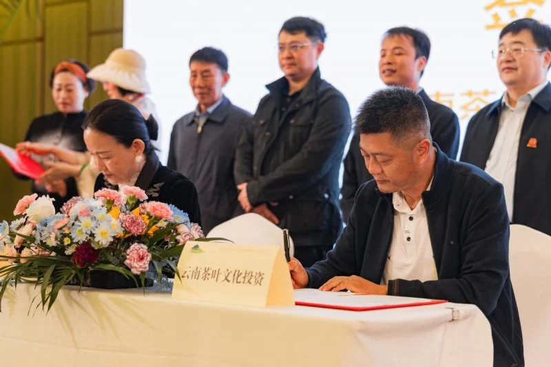 “景迈山牵手北京中轴线”茶慈善拍卖系列活动正式启动(图6) “景迈山牵手北京中轴线”茶慈善拍卖系列活动正式启动(图6)