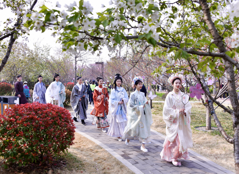 “鹤舞樱飞 向新而行”——第十届中国（鹤壁）樱花季华美启幕(图3)