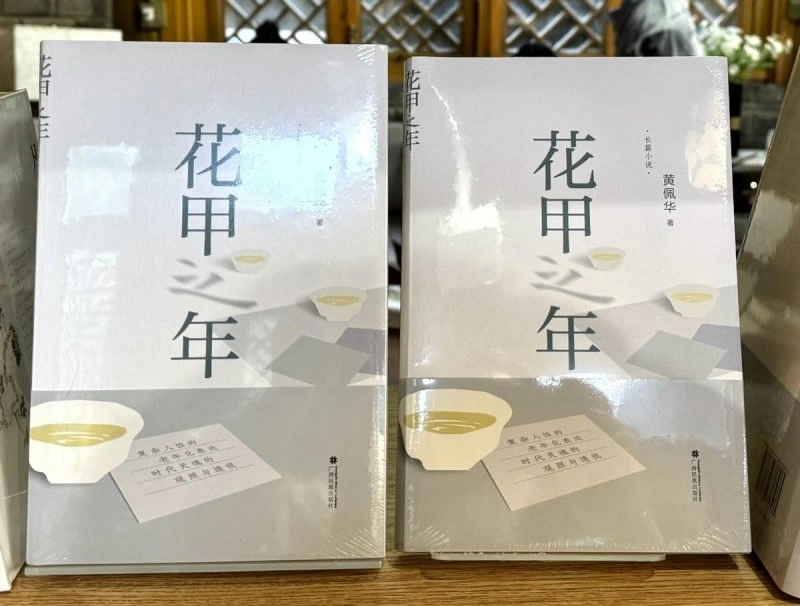 广西专家学者研讨长篇小说《花甲之年》(图2)