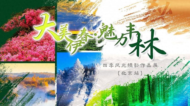 “大美伊春·魅力丰林”四季风光摄影作品展亮相北京中华世纪坛(图1)